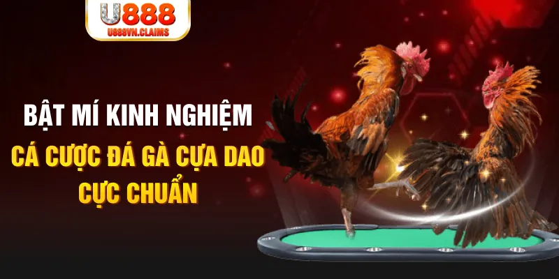 8s bet trong baccarat, ai là người chia bài chính？