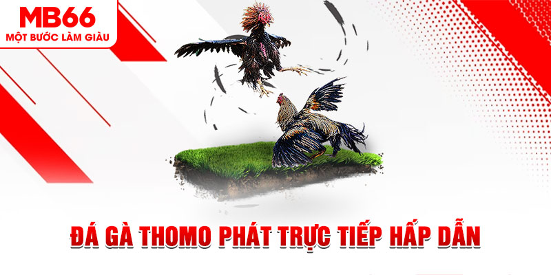 8s bet xổ số kiến thiết miền nam hôm nay