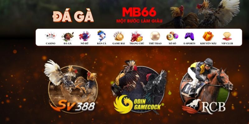 8s bet Bài Poker Hoàn Toàn Mỹ