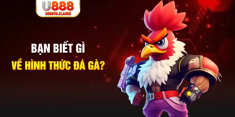 8s bet đăng nhập mậu binh dễ thắng