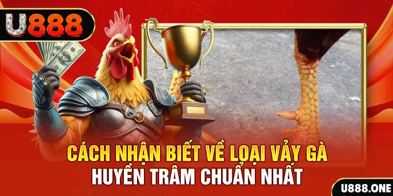 8s bet Chú hề Patty tuổi teen