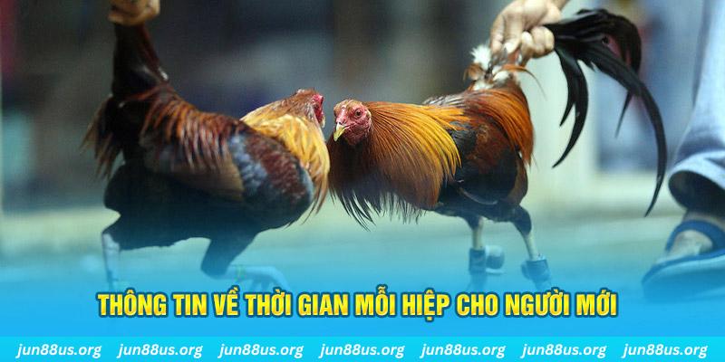 8s bet Long Hổ 2