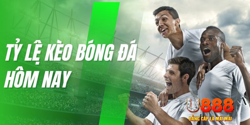 8s bet trò chơi nổ hũ rừng xanh có gì đặc biệt