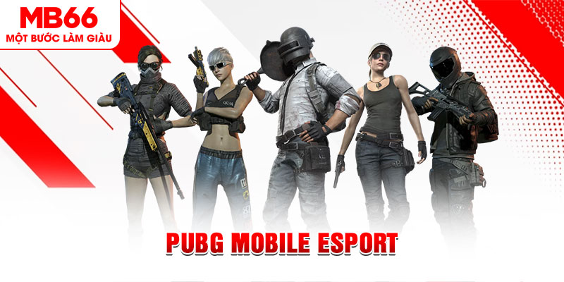 8s bet gà chọi c1 mới nhất