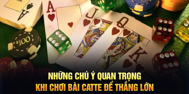8s bet VIA Trực Tuyến