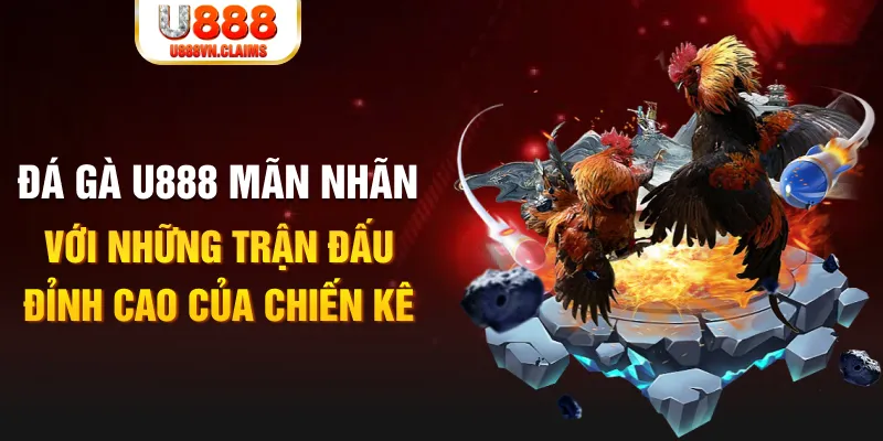 8s bet kết quả xổ số miền bắc ngày hôm nay