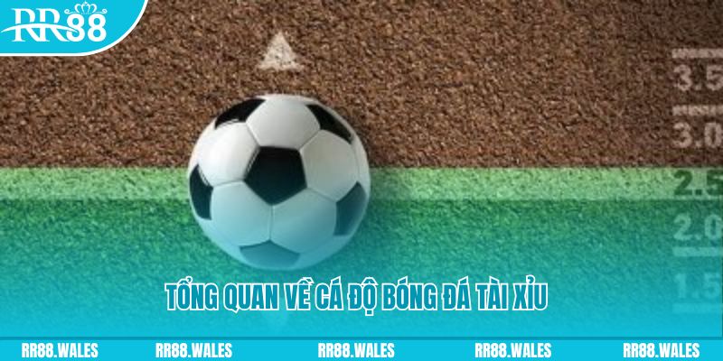 8s bet JDB Điện Tử