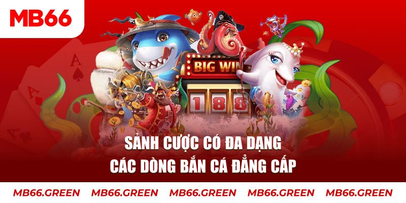 8s bet đăng nhập liêng