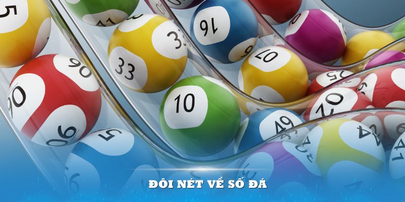 8s bet xổ số hà nội hôm nay