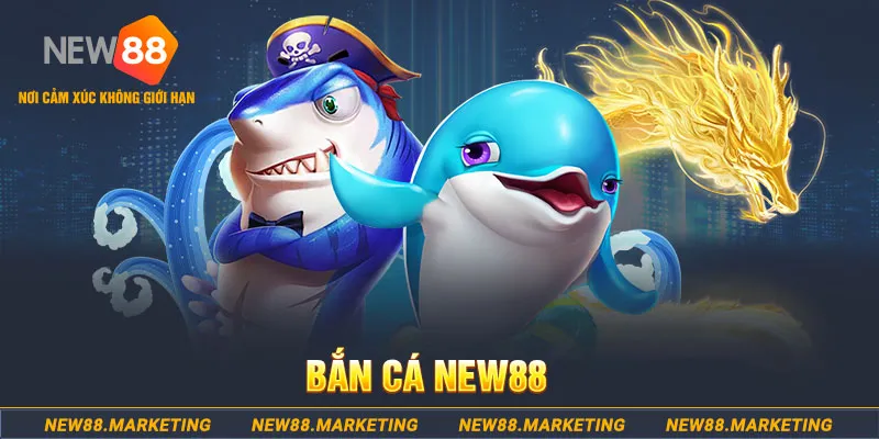 8s bet ga choi c1 tv