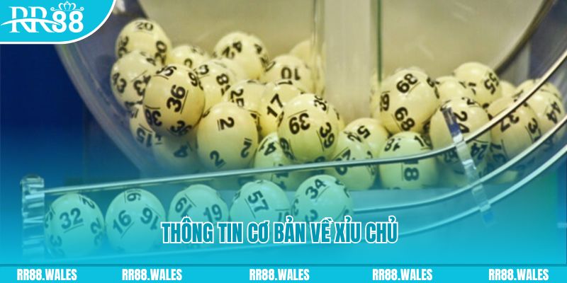 8s bet baccarat long bảo là gì