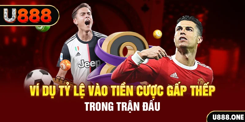 8s bet trực tiếp đá gà c3