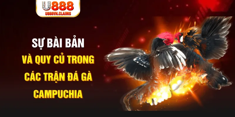 8s bet baccarat lừa đảo như thế nào