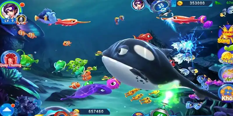 8s bet truc tiep da ga