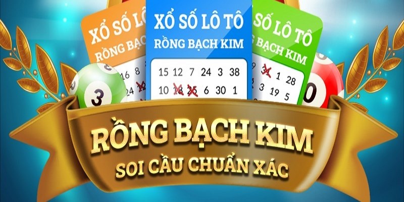8s bet R88 Game Bài 3d
