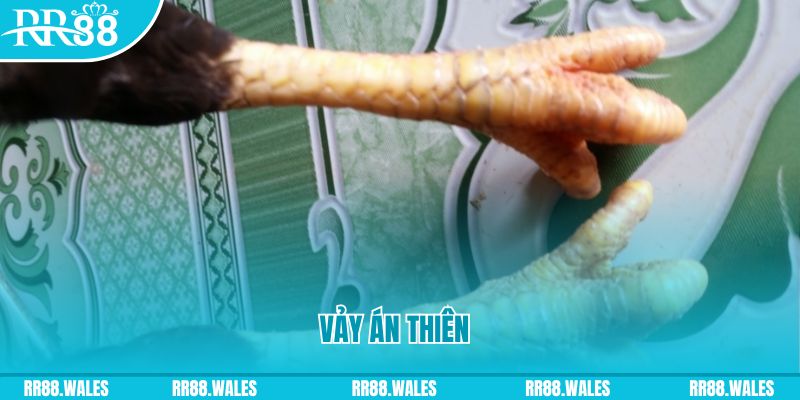 8s bet who wants to be a millionaire slot