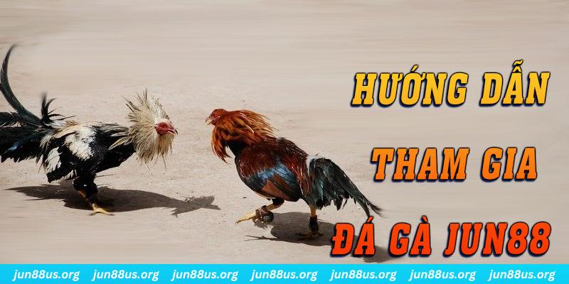 8s bet xổ số miền nam thứ sáu