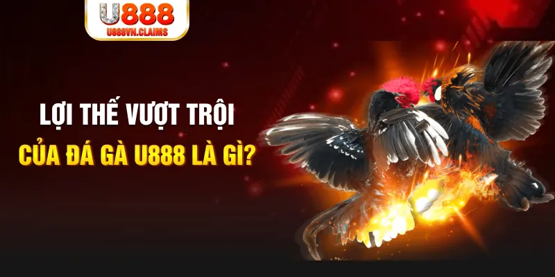 8s bet 888 slot là gì