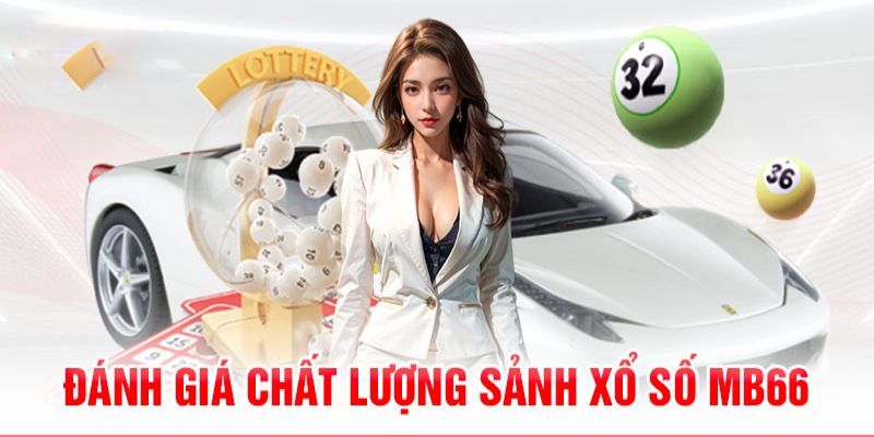 8s bet 789bet có bao nhiêu sảnh game bài 3d ？